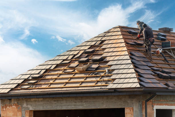 Best Commercial Roofing Services  in Alamo, TX